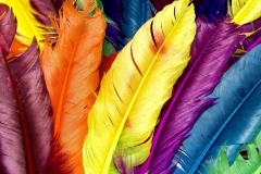 Colors-demo-10